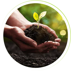 adubo para horta suspensa de madeira