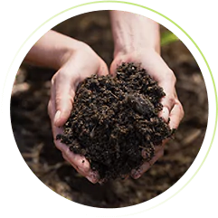 adubos organicos para hortas no quintal