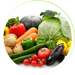 Horta organica no quintal