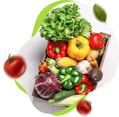 Horta orgânica no quintal