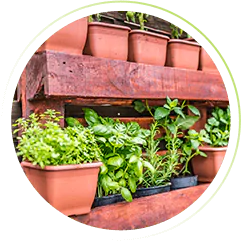 Horta suspensa caseira