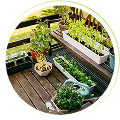 horta suspensa de madeira ideias