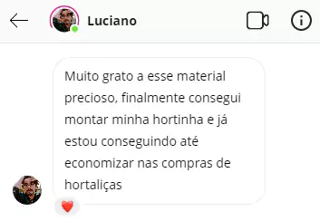 Hortaliças produzidas em casa